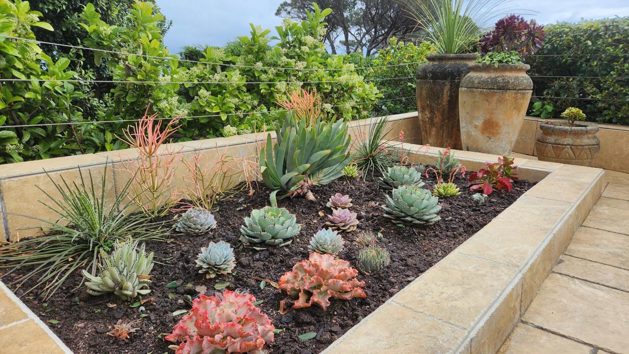 Horizon Bay - Camps Bay Homestay Cape Town